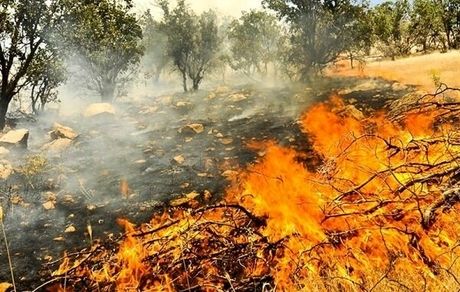 شهروندان، آتش سوزی در مراتع را اطلاع دهند