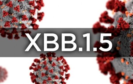 کرونای غالب کشور، اکنون سویه XBB.1.5 است