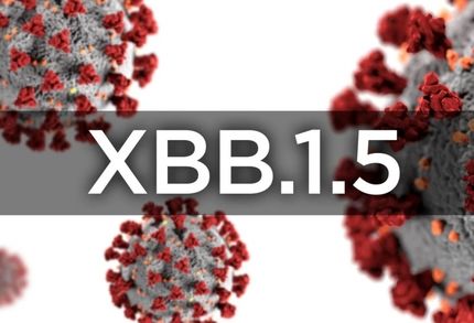 کرونای غالب کشور، اکنون سویه XBB.1.5 است