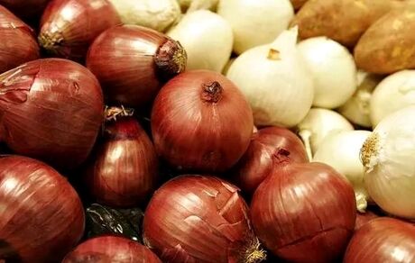 صادرات و دلالان عامل گرانی وحشتناک پیاز؟