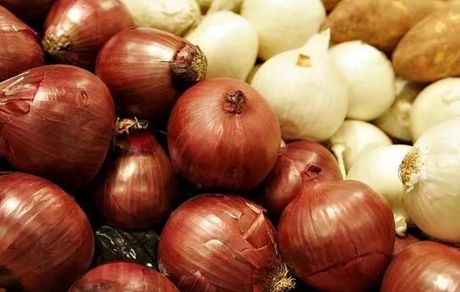 صادرات و دلالان عامل گرانی وحشتناک پیاز؟