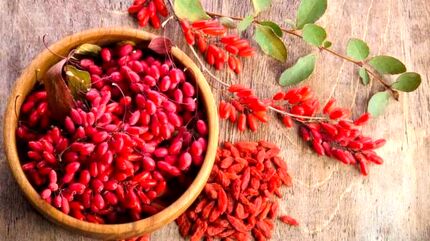زرشک، دانه‌های سرخ سلامتی/ استفاده از زرشک به عنوان یک داروی کاهنده وزن