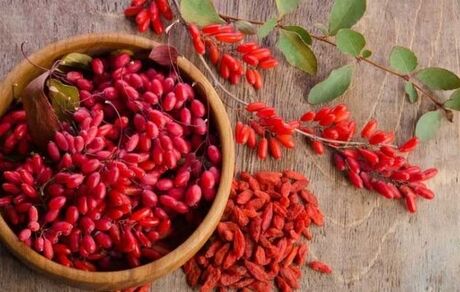 زرشک، دانه‌های سرخ سلامتی/ استفاده از زرشک به عنوان یک داروی کاهنده وزن