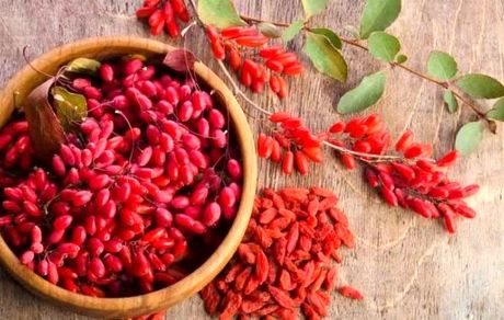 زرشک، دانه‌های سرخ سلامتی/ استفاده از زرشک به عنوان یک داروی کاهنده وزن