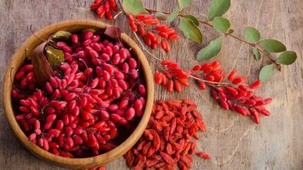 زرشک، دانه‌های سرخ سلامتی/ استفاده از زرشک به عنوان یک داروی کاهنده وزن
