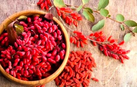 زرشک، دانه‌های سرخ سلامتی/ استفاده از زرشک به عنوان یک داروی کاهنده وزن
