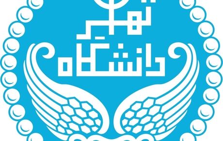 کلاس‌های جبرانی دانشگاه تهران برگزار خواهدشد