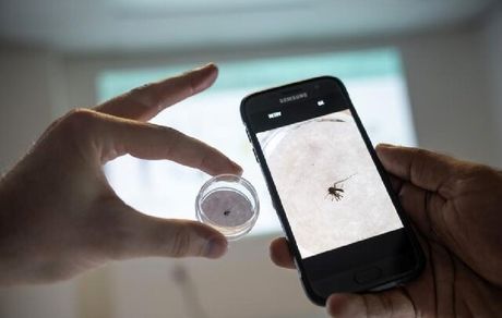 هوش مصنوعی به گوشی‌های میان‌رده سامسونگ اضافه می‌شود