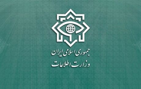 دستگیری ۴۲ نفر از اعضای شبکه پشتیبان حادثه تروریستی حرم شاهچراغ