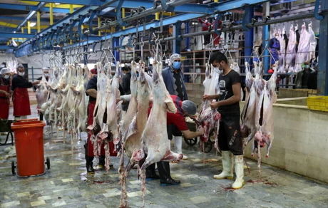 کشتارگاه دام بیرجند بدلیل بهداشتی پلمب شد