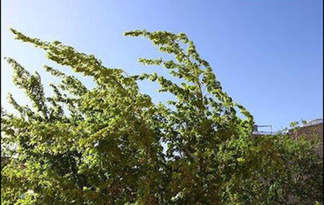 وقوع تندباد در تهران و ۱۱ استان کشور از روز سه‌شنبه