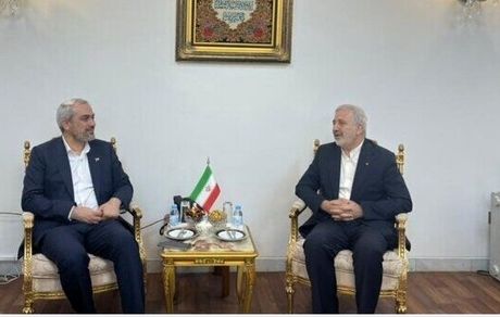 وزیر اقتصاد به عربستان رقت