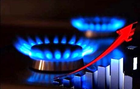 بخش خانگی بیش از نیمی از گاز کشور را بلعید!