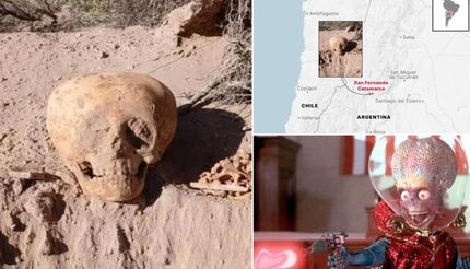 شگفتی دانشمندان از کشف جمجمه‌ای مرموز و تغییر شکل‌یافته در آرژانتین 