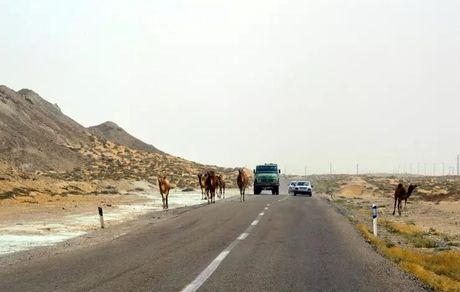 بازگشایی راه‌های اصلی جنوب استان سیستان و بلوچستان تا دو روز آینده
