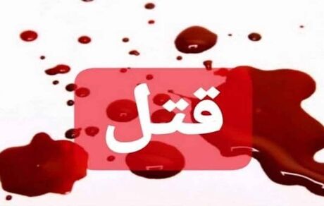 درگیری لفظی خواهر و برادر به قتل پدر انجامید