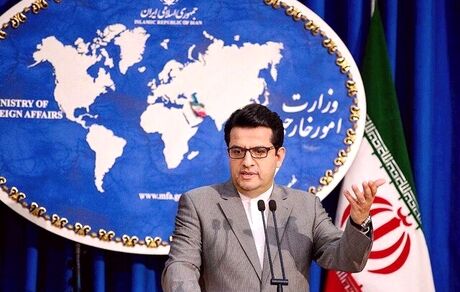 
موسوی: رفتار مرزبانی آمریکا با ایرانیان، نژادپرستی مطلق و نقض حقوق بشر است
