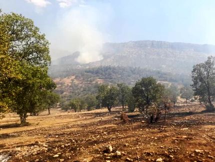 دستگیری عامل آتش سوزی مناطق سبزکوه و ارمند