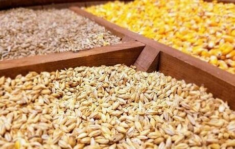 تامین نهاده‌های دامی کشور تا ۴ ماه آینده