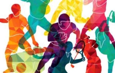 شبکه دانشوران ورزشی ایرانی مقیم خارج از کشور راه‌اندازی می‌شود