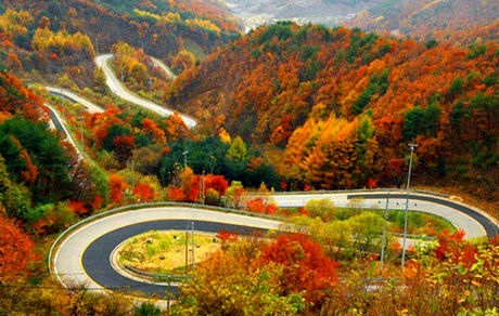 جاده چالوس دوباره مسدود شد