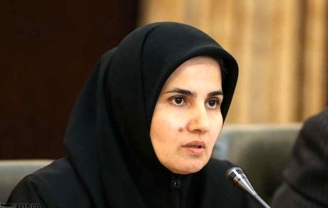 جنیدی:‌ لایحه پالرمو طبق قانون اساسی ایرادی ندارد