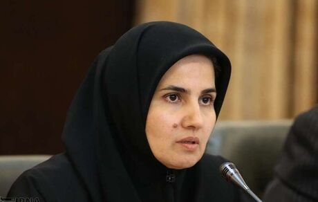 جنیدی:‌ لایحه پالرمو طبق قانون اساسی ایرادی ندارد
