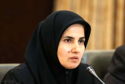 جنیدی:‌ لایحه پالرمو طبق قانون اساسی ایرادی ندارد