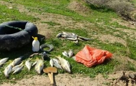 دستگیری متخلفین صید ماهی با مواد منفجره در پلدختر