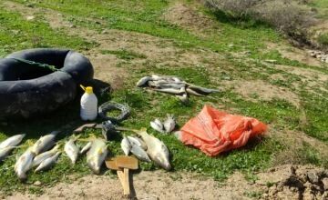 دستگیری متخلفین صید ماهی با مواد منفجره در پلدختر