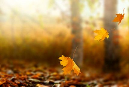 وزش باد گرم در راه استان گیلان