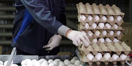  چرا قیمت تخم مرغ دوباره افزایش یافت/ بازارگرمی تولید کنندگان یا بی خبری مسئولان؟