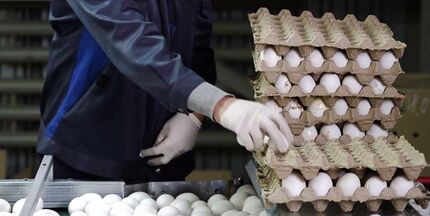  چرا قیمت تخم مرغ دوباره افزایش یافت/ بازارگرمی تولید کنندگان یا بی خبری مسئولان؟