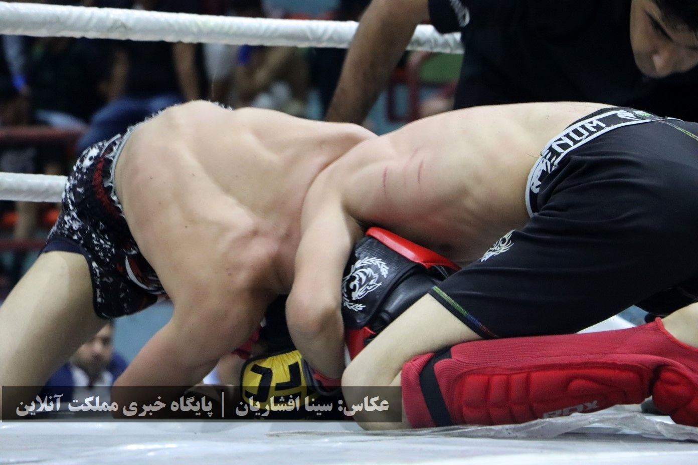 بودو قهرمانی کشور