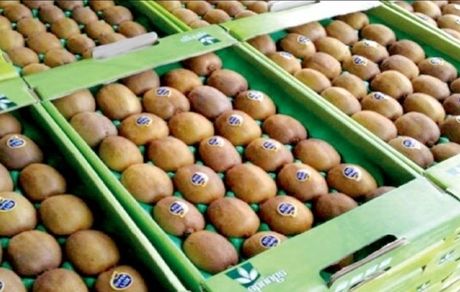 صادرات محصولات باغی استان مازندران به کشور‌های حاشیه خلیج فارس و کشورهای عضو اوراسیا