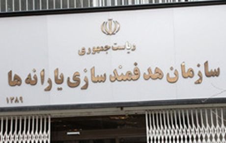 تلفن گویا برای هدفمندی یارانه‌ها راه‌اندازی شد