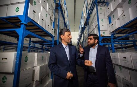 بنیاد مستضعفان برای یک میلیون خانواده کم‌برخوردار، بسته‌های لبنی توزیع می‌کند