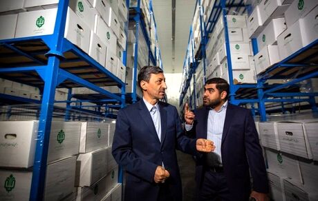 بنیاد مستضعفان برای یک میلیون خانواده کم‌برخوردار، بسته‌های لبنی توزیع می‌کند