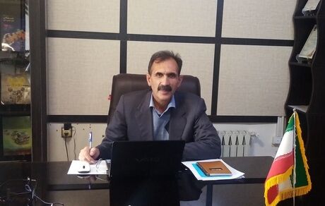 تولید سالانه ۲۵۰ هزار تن نخود در کشور