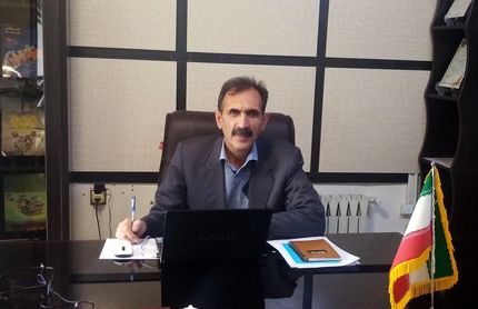 تولید سالانه ۲۵۰ هزار تن نخود در کشور
