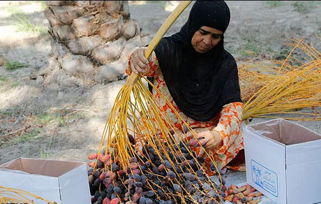 شناسایی زنان سرپرست خانوار سکونتگاه‌های غیر رسمی ۱۵ استان