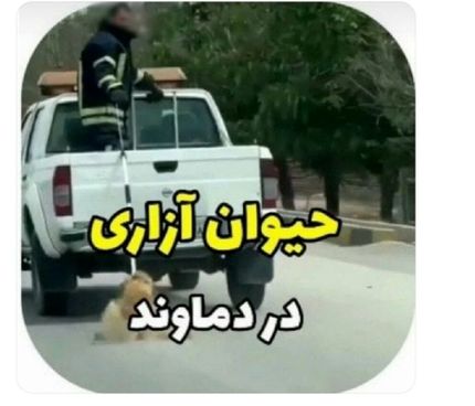 اعلام جرم محیط زیست علیه حیوان آزاری در دماوند