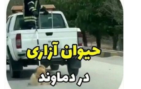 اعلام جرم محیط زیست علیه حیوان آزاری در دماوند
