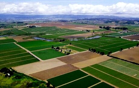 جانمایی ۱۳۵ میلیون هکتار از اراضی ملی در سامانه کاداستر