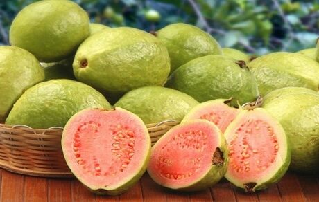برداشت ۲ هزار و ۳۰۰ تن میوه گرمسیری گواوا در استان سیستان و بلوچستان