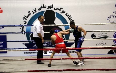 بوکسورهای راه‌یافته به یک چهارم نهایی قهرمانی کشور مشخص شدند