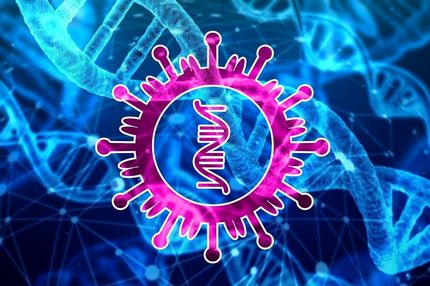  این افراد آنتی بادی بیشتری علیه کرونا تولید می کنند