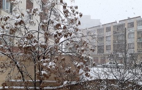 یخبندان شدید در راه استان البرز