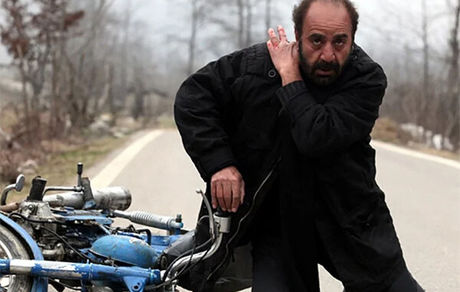 موردعجیب قاچاق «خرس»/ تهیه‌کننده و پخش‌کننده یکدیگر را متهم کردند!