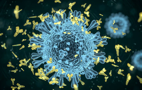 حمایت وزارت بهداشت از ایجاد مراکز ارائه خدمات طب ایرانی به بیماران کرونایی